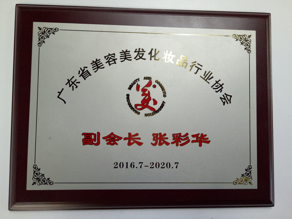 张彩华获任广东美协副会长