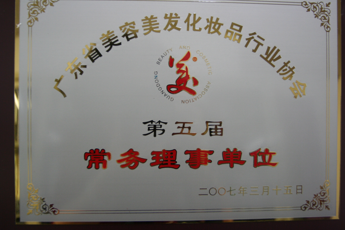 2007广东省美容美发化妆品行业协会第五届常务理事单位奖牌